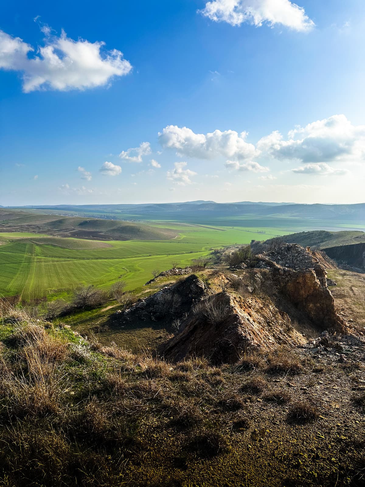 Dobrogea landscape